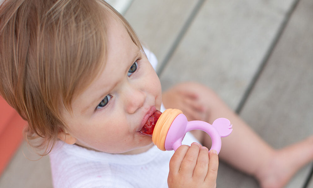 Best Baby Fresh Food/Fruit Silicone Feeder – Chloe's Baby Store