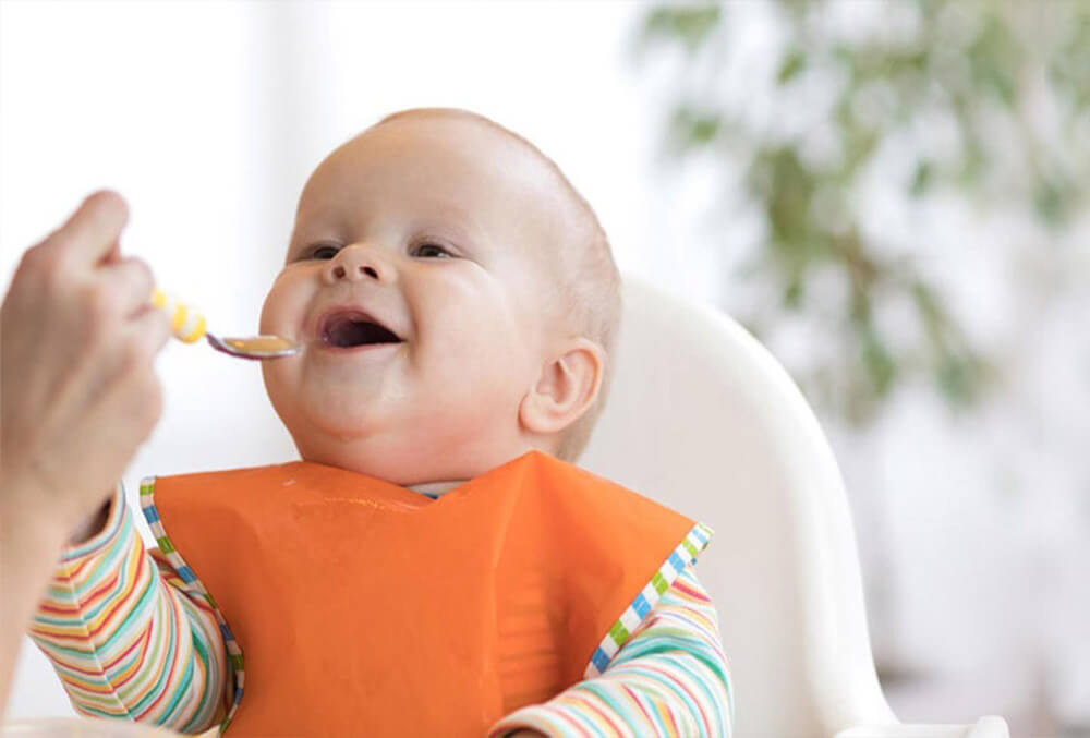recommended feeding schedule for a 6 month old baby