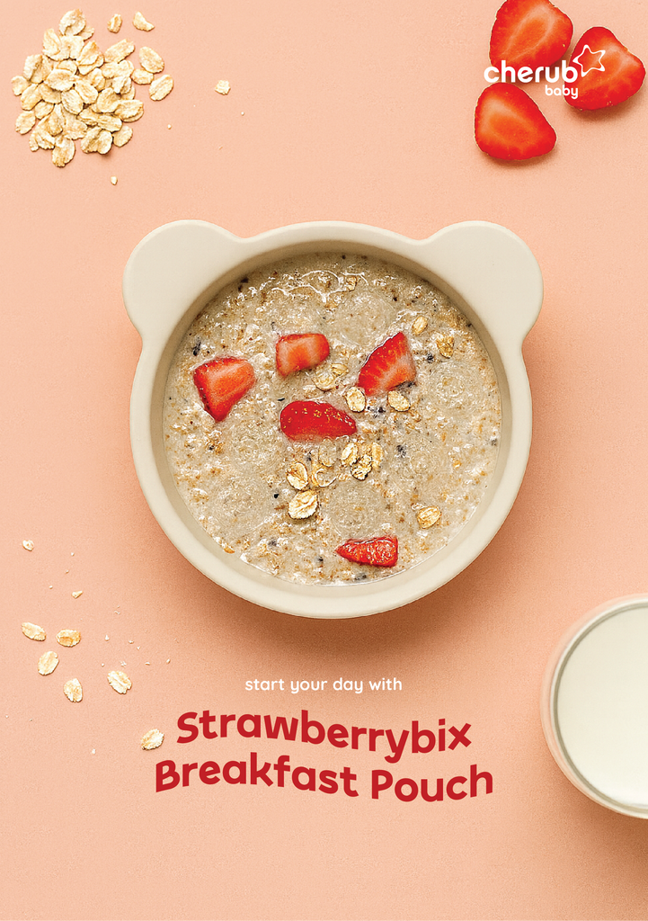 Strawberrybix Breakfast Pouch