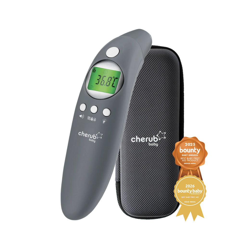 4-in-1 Infrared Thermometer, Digital Ear And Forehead V2 in Slate