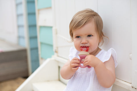 BUNDLE SALE - Silicone Fresh Food Feeder + Silicone Baby Nibble Freezer Tray 2PK + 2PK Nets - Dusty Rose & Sand