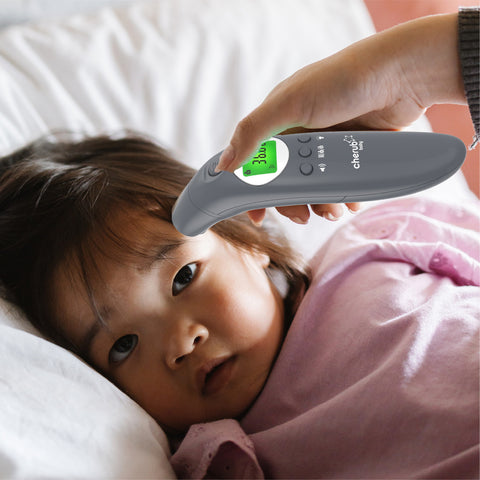 4-in-1 Infrared Thermometer, Digital Ear And Forehead V2 in Slate
