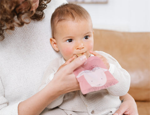 BUNDLE SALE Reusable Baby Food / Yoghurt Pouches | Bundle Kit | Dusty Rose & Sand