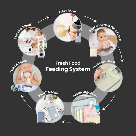 A circular infographic on a dark gray background showing the Fresh Food Feeding System with six labeled steps: Steam & Blend, Press to Fill, Pour & Store in Food Pouch, Write on Pouch, Pouch Cooler, and Pouch Organizer, each with a small photo and arrow pointing to the next.