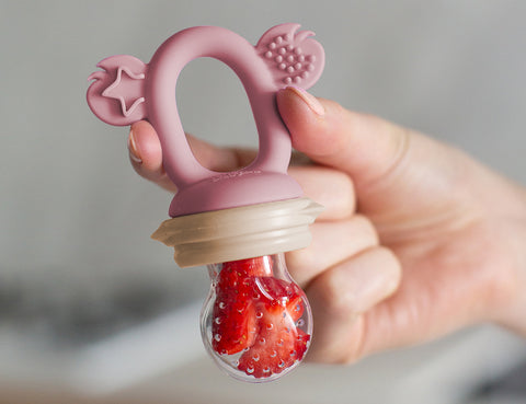 BUNDLE SALE - Silicone Fresh Food Feeder + Silicone Baby Nibble Freezer Tray 2PK + 2PK Nets - Dusty Rose & Sand