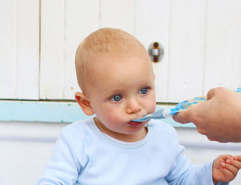 Food Pouch Spoons & Spouts Bundle - Cerulean & Sage