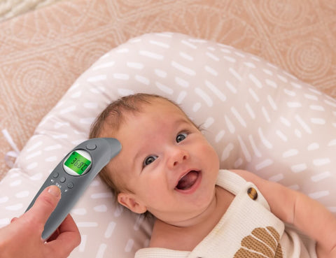 Cherub Baby 4 in 1 Infrared Digital Ear And Forehead Thermometer V2 Australia - Slate