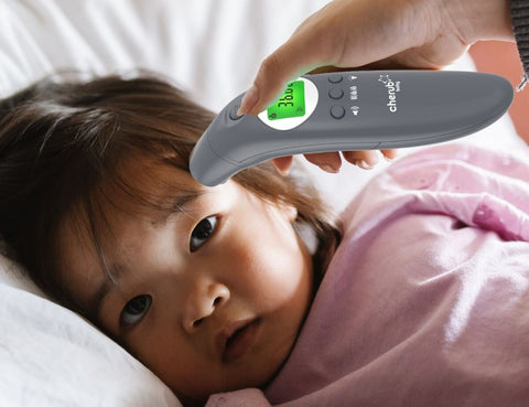 Cherub Baby 4 in 1 Infrared Digital Ear And Forehead Thermometer V2 Australia - Slate