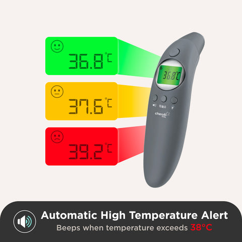 4-in-1 Infrared Thermometer, Digital Ear And Forehead V2 in Slate