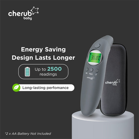 4-in-1 Infrared Thermometer, Digital Ear And Forehead V2 in Slate