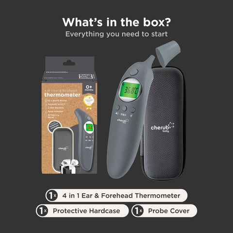 4-in-1 Infrared Thermometer, Digital Ear And Forehead V2 in Slate